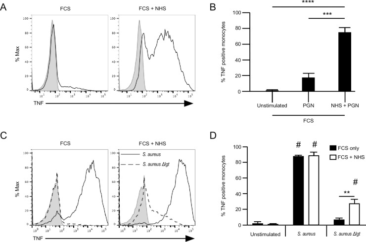 Fig 7