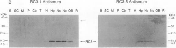 graphic file with name pnas01092-0183-a.jpg