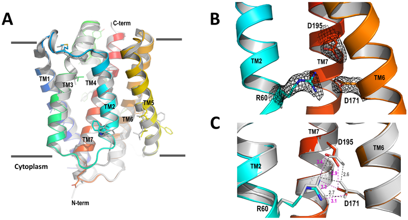 Figure 2.