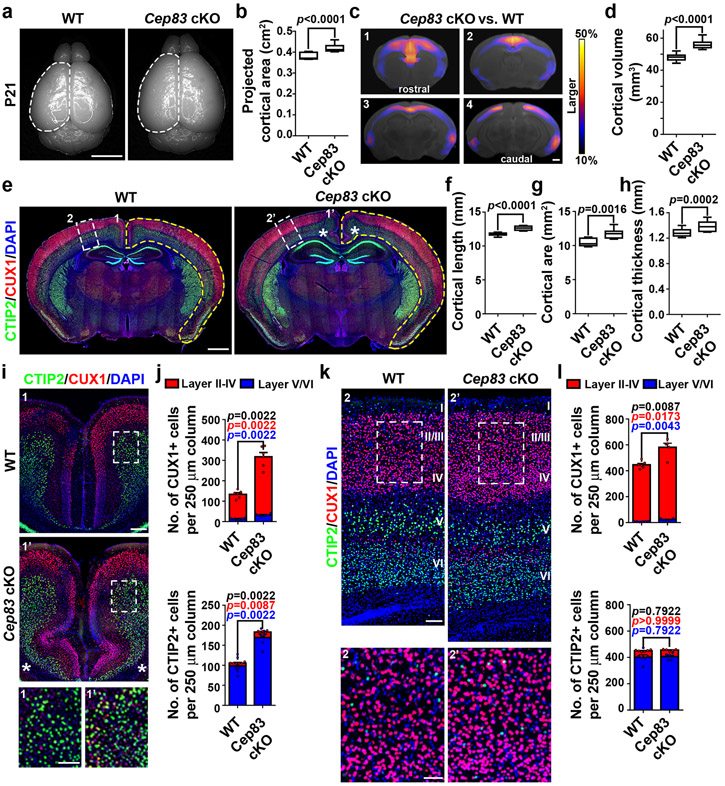 Fig. 2: