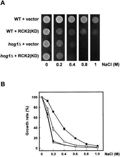 FIG. 6