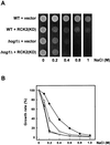 FIG. 6