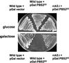 FIG. 8