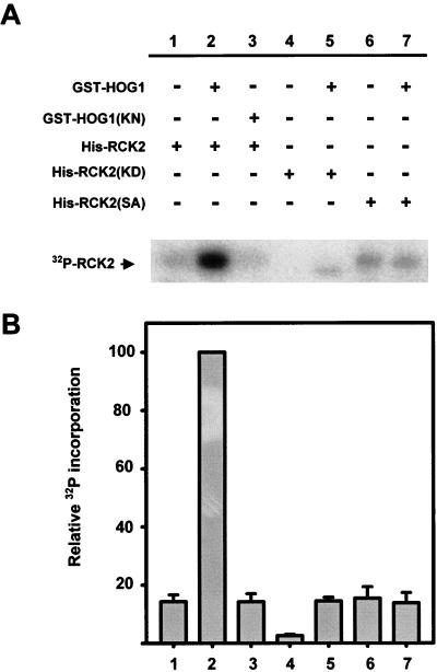 FIG. 5