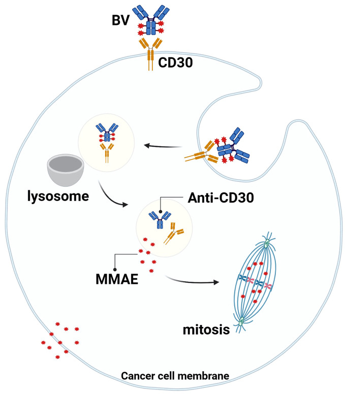 Figure 3