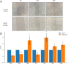 Figure 5: