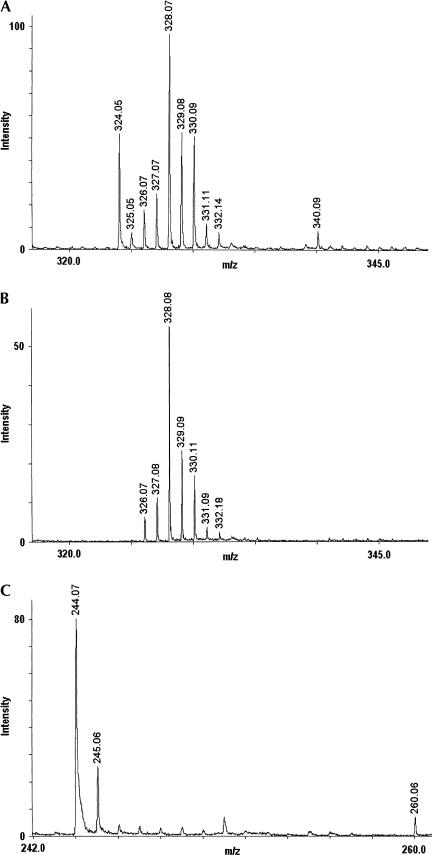 FIGURE 3.