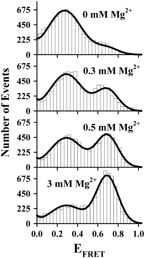 FIGURE 3