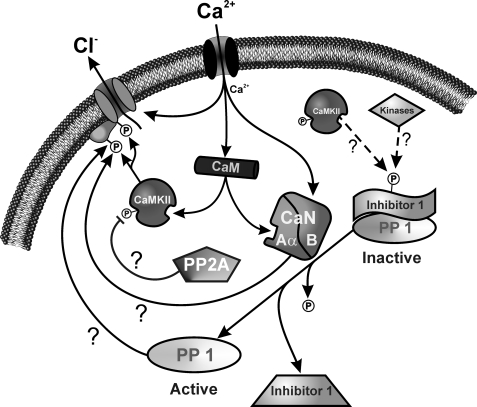 FIGURE 10.