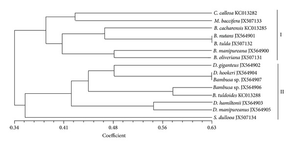 Figure 2