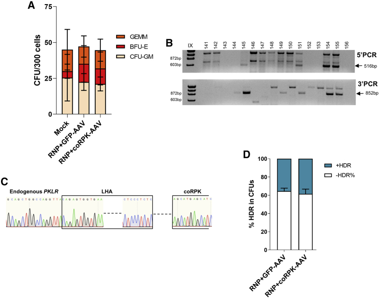 Figure 2