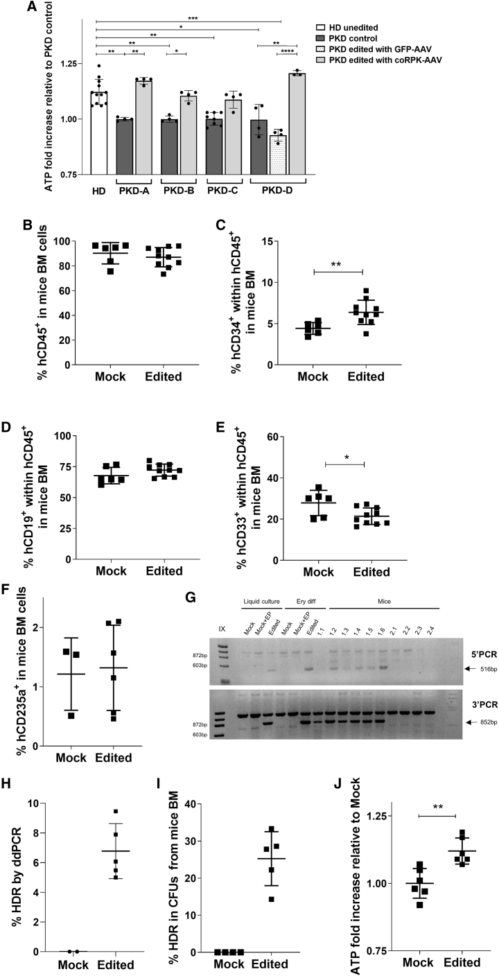 Figure 6