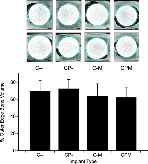 FIG. 8.