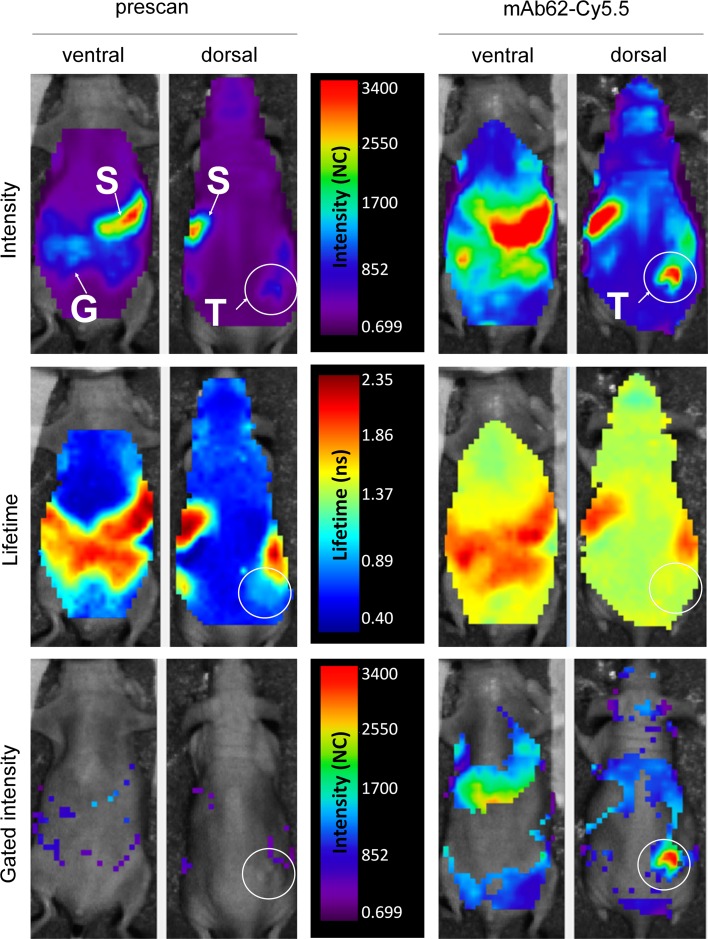 Fig. 3