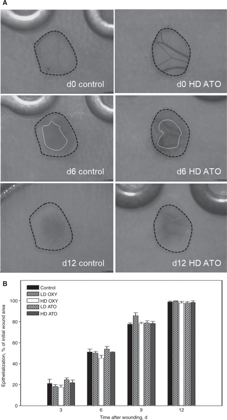 Figure 2: