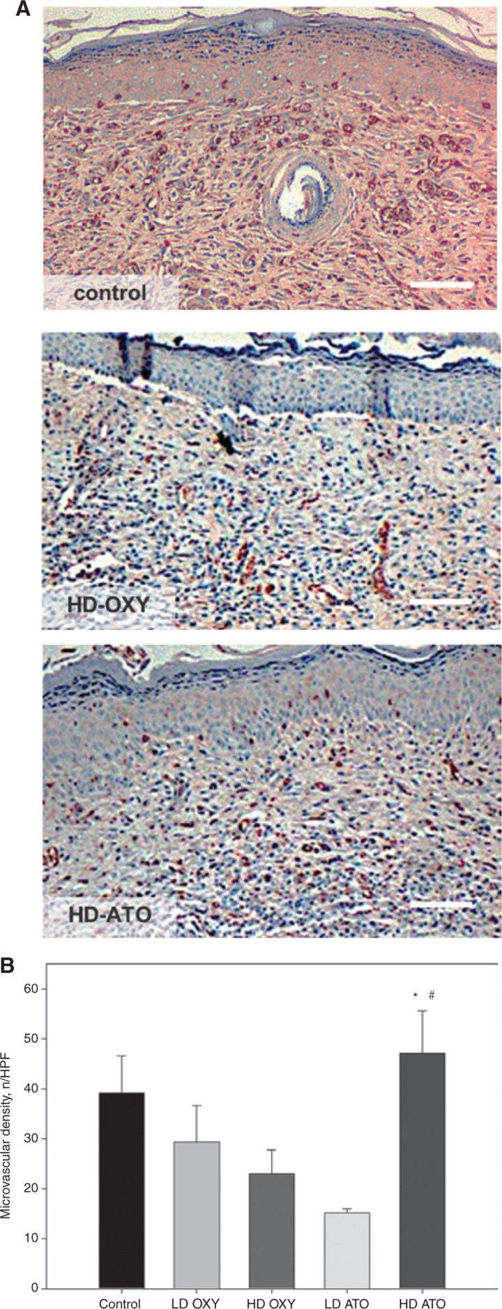 Figure 6: