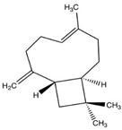 graphic file with name brainsci-11-01573-i005.jpg