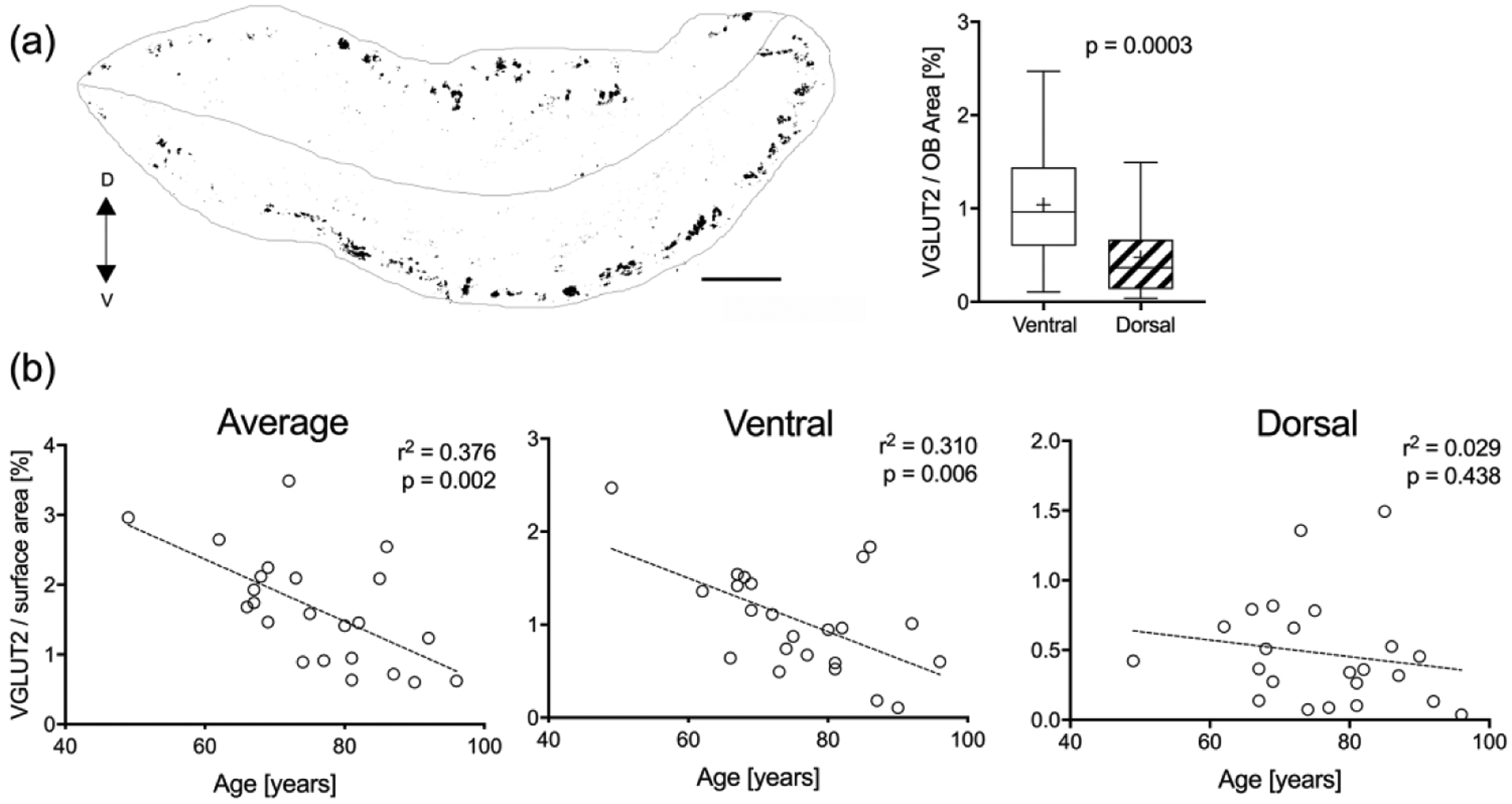 Figure 10.