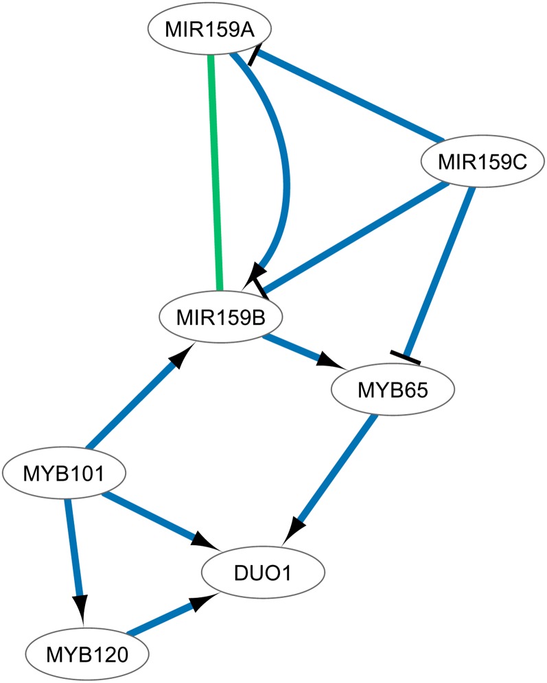 Figure 5.