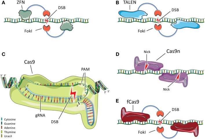 Figure 2