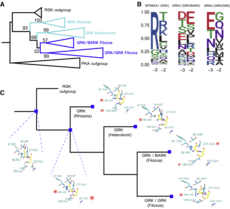 Figure 6