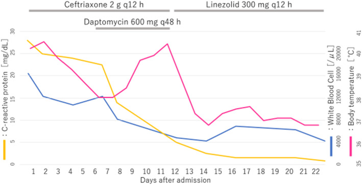 FIGURE 2