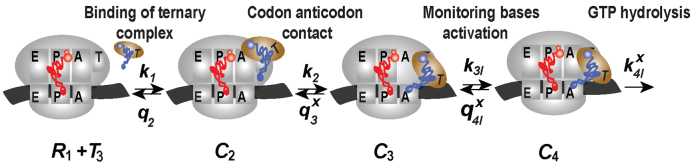 Figure 5.