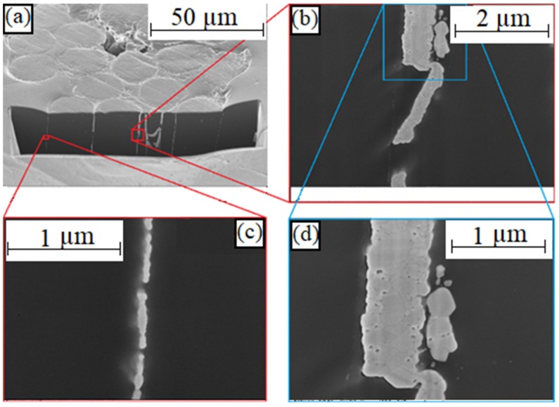 Figure 17