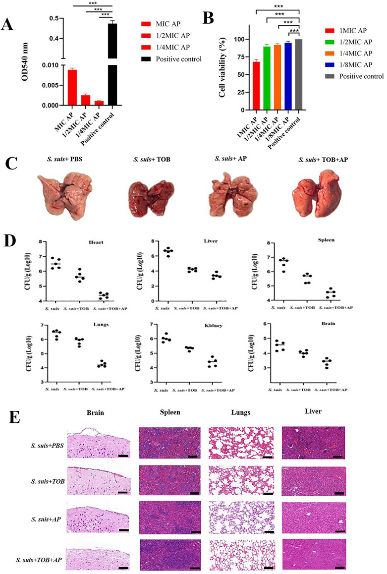 Fig. 6
