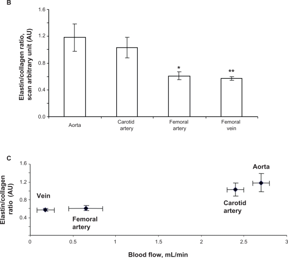 Figure 3 B