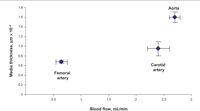 Figure 2C