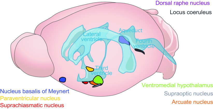 Figure 3.