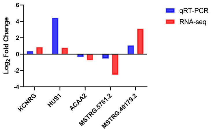 Figure 7