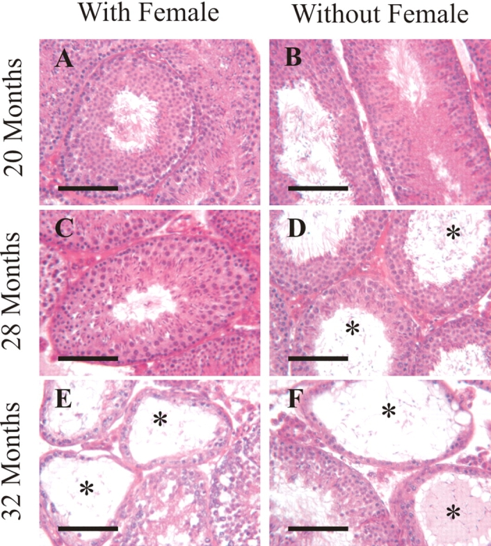 FIG. 5.