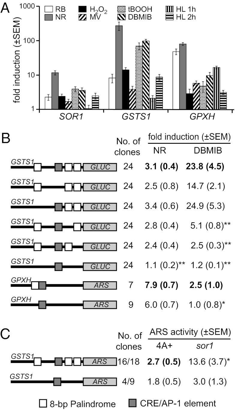 Fig. 4.