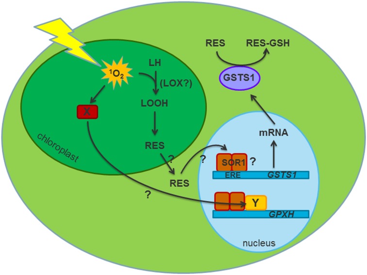 Fig. P1.