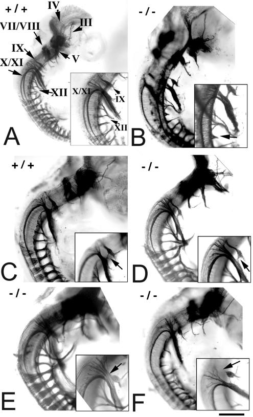 FIG. 5.