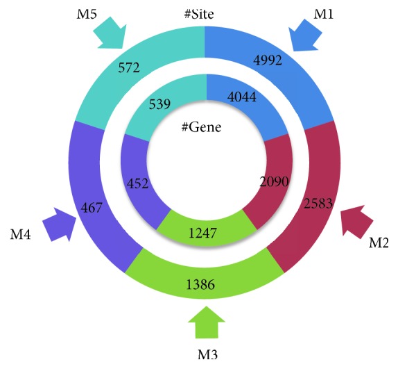 Figure 7