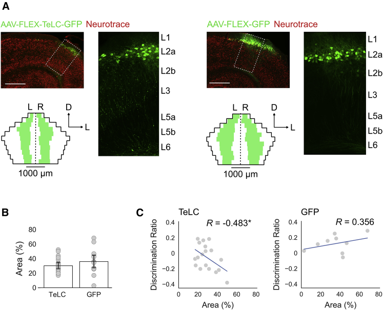 Figure 4