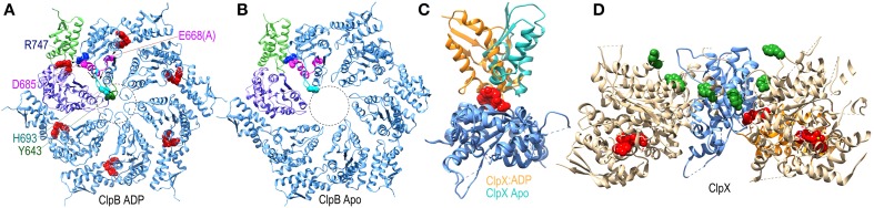 Figure 7