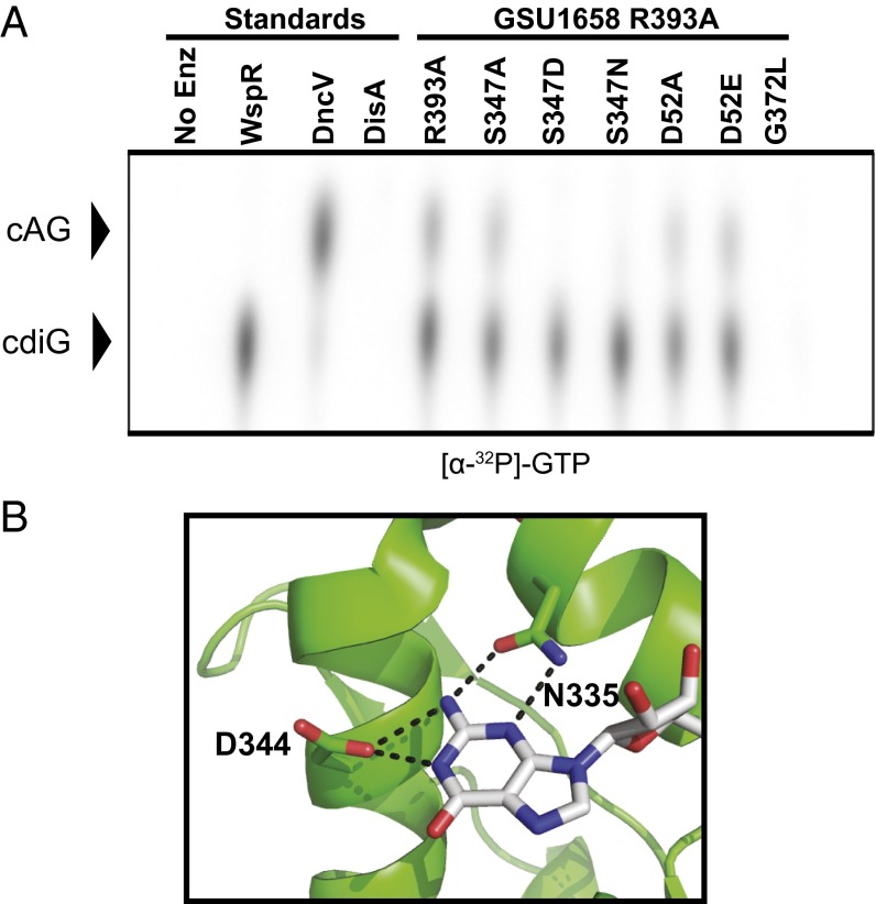 Fig. 3.