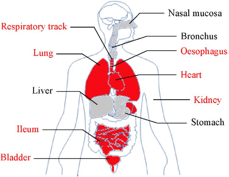 Fig. 3