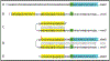 Figure 5: