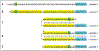 Figure 7: