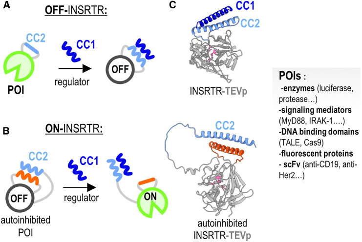 Figure 4