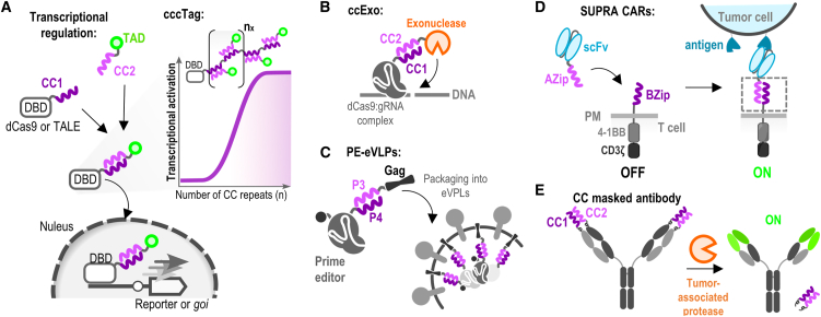 Figure 3