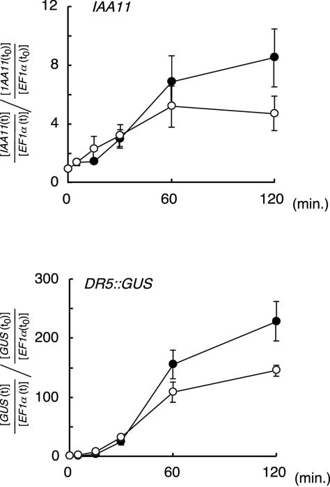 Figure 6.