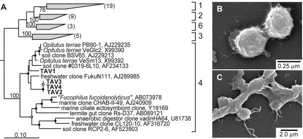 FIG. 5.