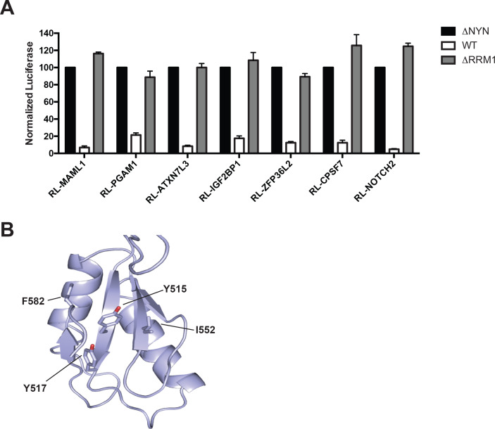 Figure 4—figure supplement 1.