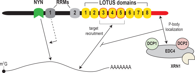 Figure 7.